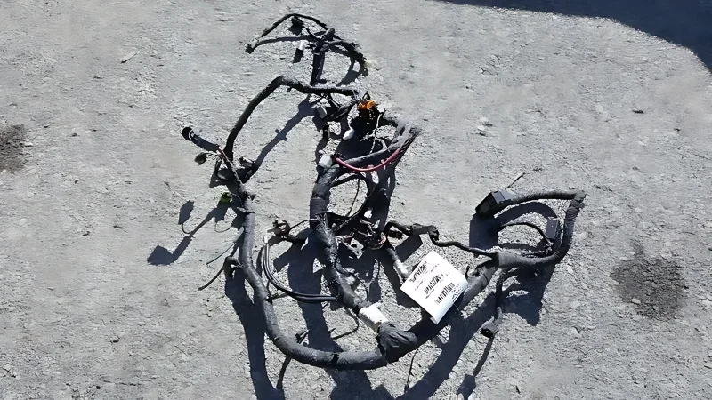 4868933AA Engine Wiring - OEM | Fits 2004 Dodge Caravan