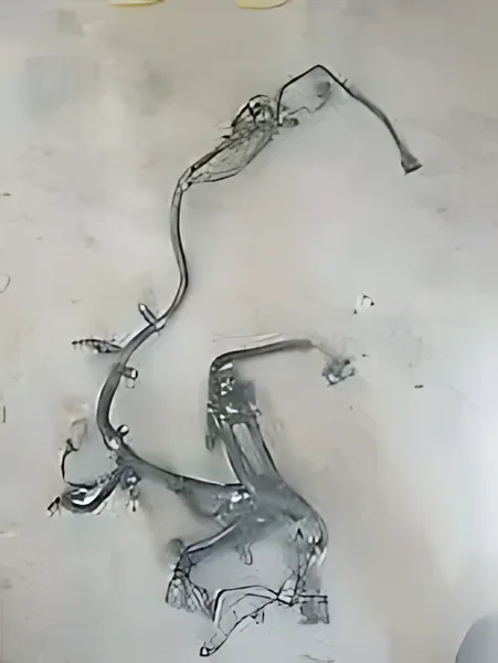 56055712AD Dash Wiring - OEM | Fits 2007 Dodge Ram