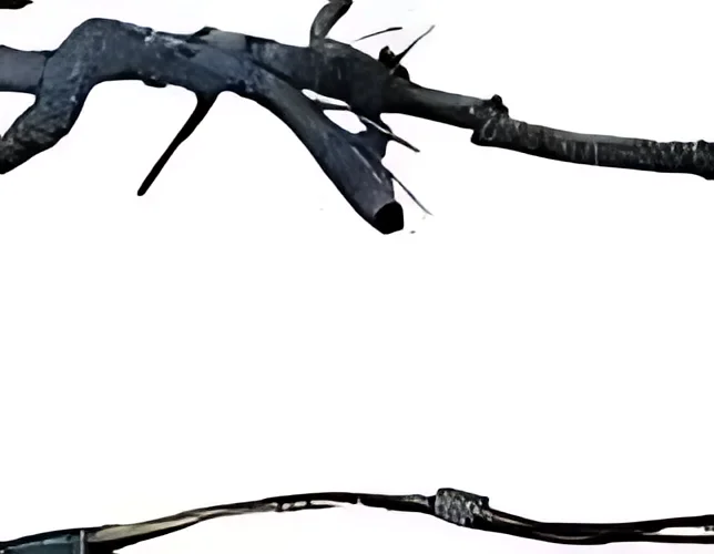 56051432AB Transmission Wiring - OEM | Fits 2006 Dodge Ram (Cummins)