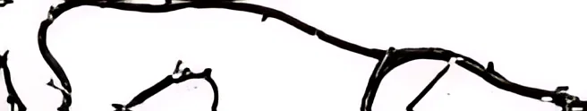 68265117AA Core Support Wiring - OEM | Fits 2016 Dodge Ram