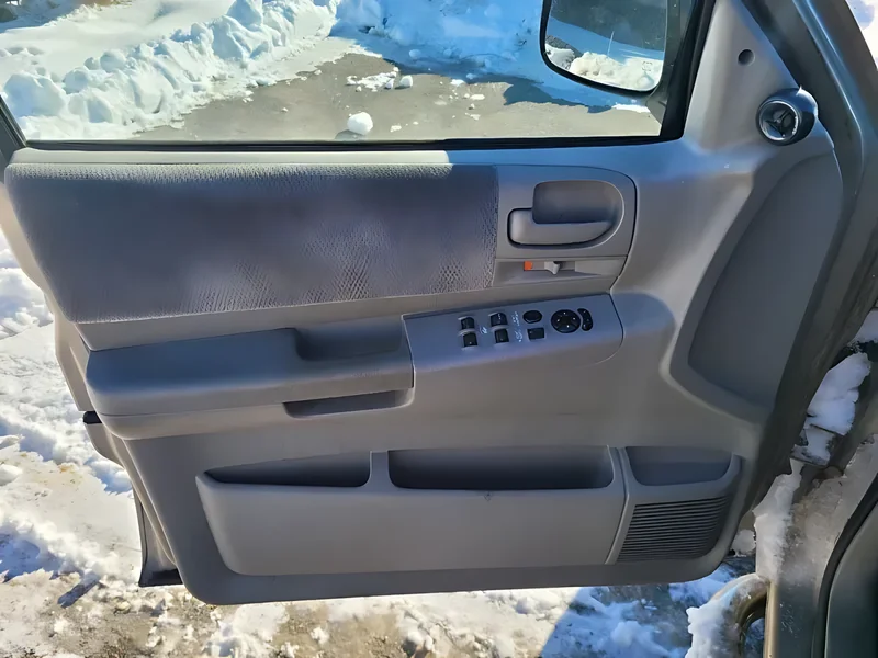 5GV31WL5AB Front Door Panel - OEM | Fits 2001-2004 Dodge Dakota