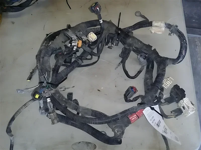 81735 Engine Wiring - OEM | Fits 1998 Dodge Dakota (5.2L AT)